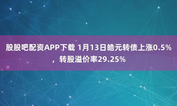 股股吧配资APP下载 1月13日皓元转债上涨0.5%，转股溢价率29.25%