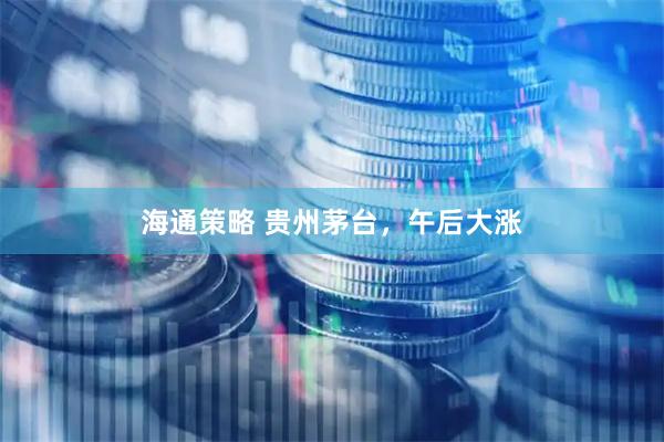 海通策略 贵州茅台，午后大涨