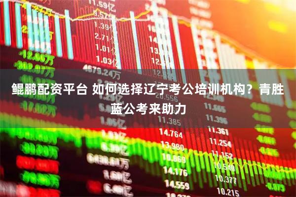 鲲鹏配资平台 如何选择辽宁考公培训机构？青胜蓝公考来助力