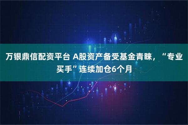 万银鼎信配资平台 A股资产备受基金青睐，“专业买手”连续加仓6个月
